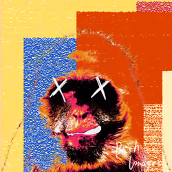 Apes are no laughing #087