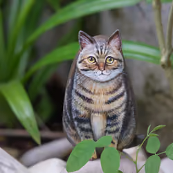 Cat stone art