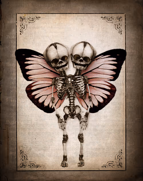 Item #8085254141654812684738761113738258081454055288701000052945293423698526601217 Media