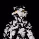 72491885339690775779216066480462379431236412432630146305326427375143934230529