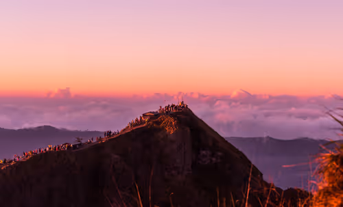 Item #24270151967778228658654430222204699412334397028020710454153843939944563736577 Media