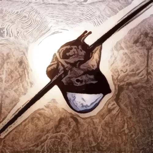 Item #84628850051465597210146000683389618639268532836801907227553242876598168846337 Media