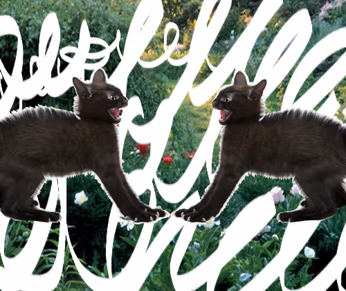 92783142183670148779523509575317469478567850605598829462236361885854220681226