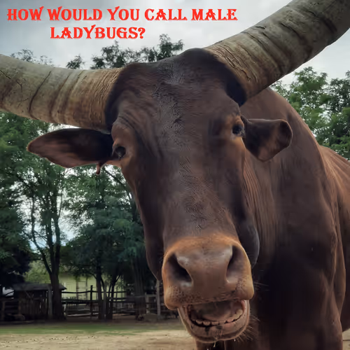 51313302132644519913343847646347811445510524411913136629935896319997543186433