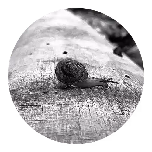 Item #73474911565276893363269127585336255498112534630235322163062143140323846520833 Media