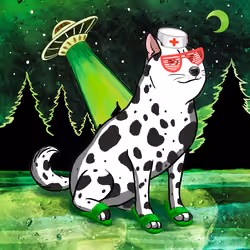 Doge #4913