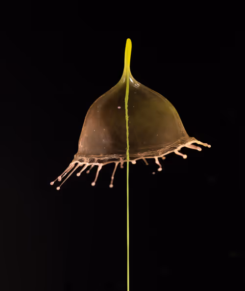 Item #93843816189578981246560604655943518308185846623120940061859981526615313088513 Media