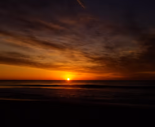 Item #36797478990227503802515544271343238965940869473164843468653790280008276639745 Media