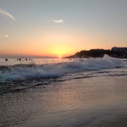 Sea Natural
