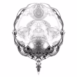 85859191866638808365331437874953228966785819470149775310971062288448575504385