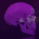 Stoic Society - Momento Mori Skull Series
