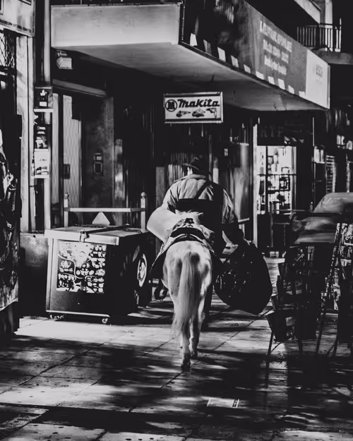 Item #692228807633545716775757127906681102618653973765444029041337443641324470273 Media