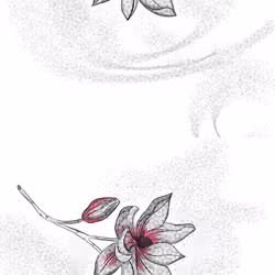 Mellifluous Delicacy