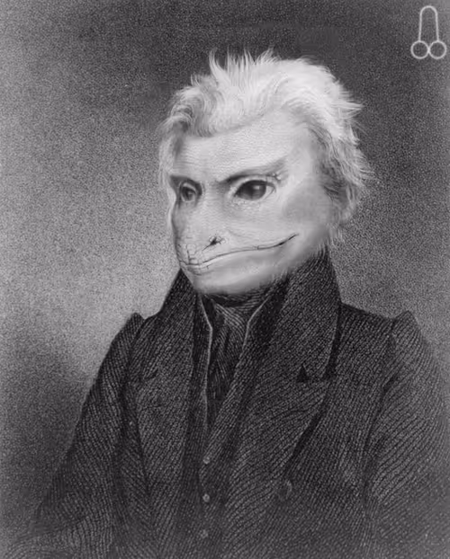 Item #76465705186593823460118533385748271366461917357337156142954316466349957709825 Media