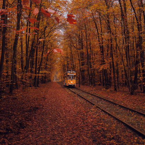 57737723684764745243435676349472657233863962306282579555572340511110990921740