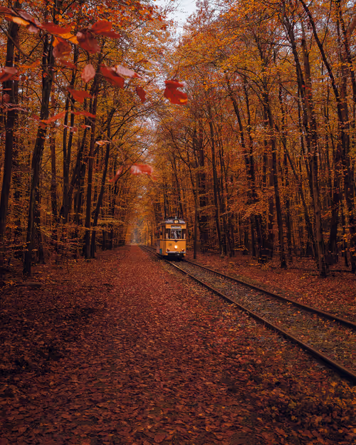 Item #57737723684764745243435676349472657233863962306282579555572340511110990921740 Media