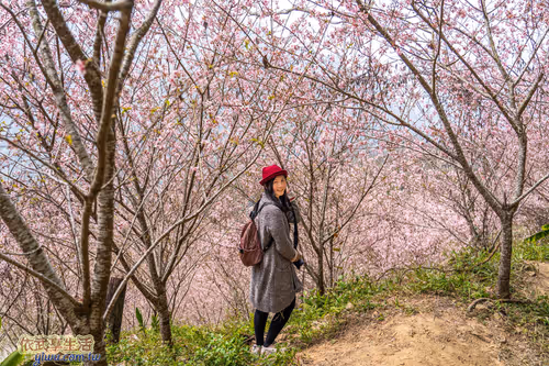 Item #100744422725674417057824683306763013505668843176654858816283484015395396911105 Media