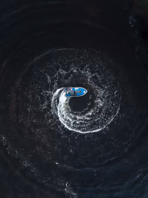 Item #3461261320663593426900354360876375017663922749216533272399435651024144039937 Media