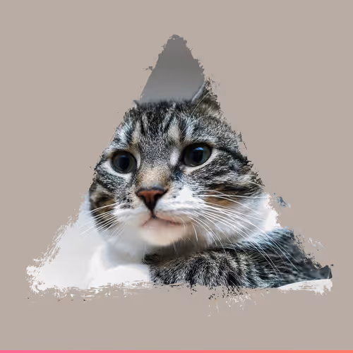 47735831019485783458656614174484110882606090431151176624954731148991417810945