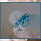 98647933825971538167014356708832577938829494808882293034315128140808329363457