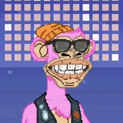 68353457077502718411049538613694890847782991066979697949798641260576892780545