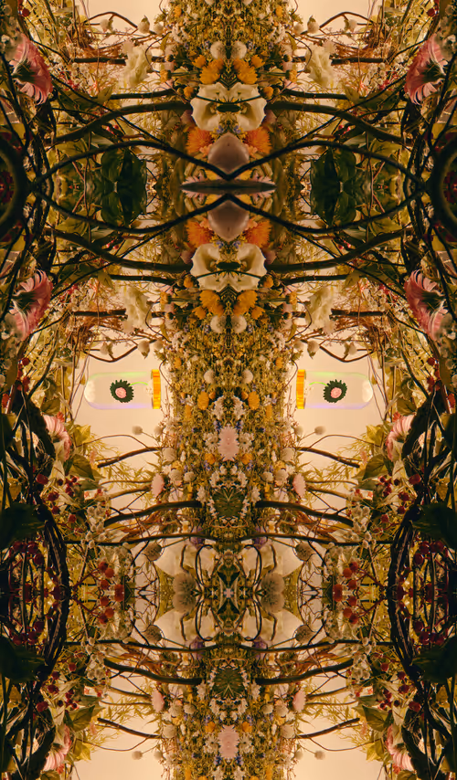 Item #54411499690937640101772425138653578544162397958311670010148906843388424224769 Media