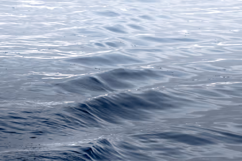 Item #55403408665547609189092792610750107765895786822855229620827418919572552548353 Media