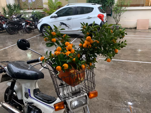 Item #9219050150944409377619180316701258752688903686194552541810005493024489996289 Media