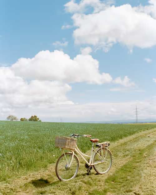 Item #72063473001551707938921919543400060516989299042125628765680198912547082993665 Media