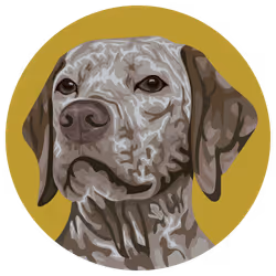 54766349128176429303044182404049584425310907481653304317570413979310844018689