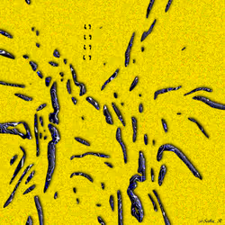 52596772328572645396799225155179162658789326659101193362598998509723083341825