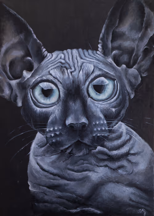 Item #31382103303999943427093911339400050144323921861068056032587434000497833410561 Media