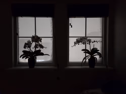 Item #78181209814315625446745732487722673526994860815940121283783289108160919371777 Media