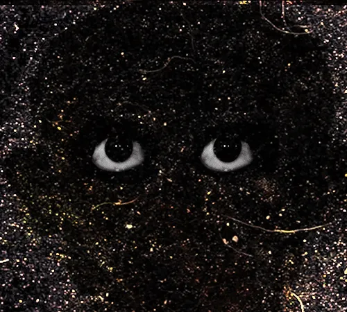 54688137389352509344092767467911615879738143210533731435142059751205347786753