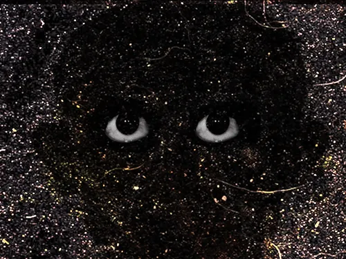 Item #54688137389352509344092767467911615879738143210533731435142059751205347786753 Media