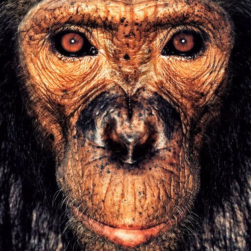 109162157552346088047496633038404394118504199992061596446112929730474501210113