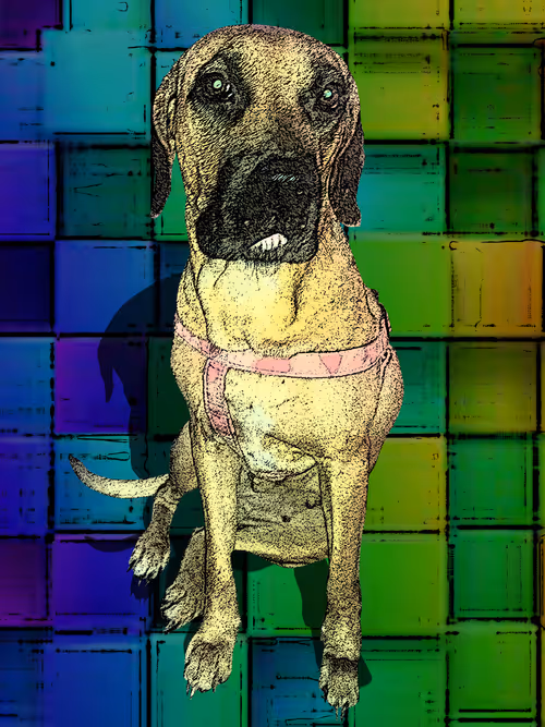 Item #110640578311561028274167129539522877682176249873734530385748779682766373519361 Media