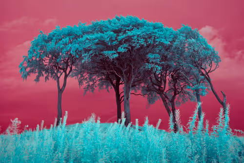 Item #105424874580272350249353180101820695324338341917620358577696675068510702927873 Media