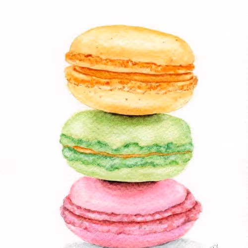 Untitled Collection #24837266