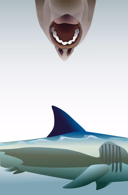 Item #24333615194759565432954318227469908688353050558256699487965883839146650238977 Media