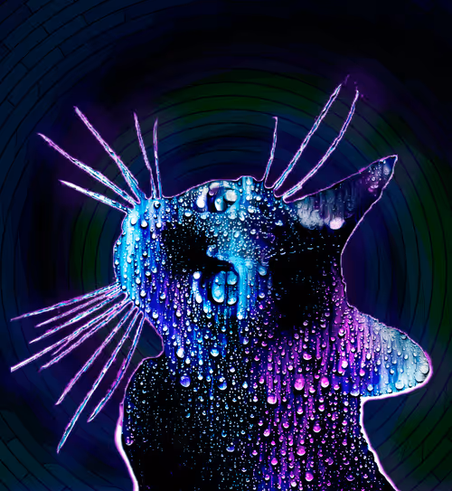 Item #23970642222808392989865087712963609079521043964881081446179584779686292488193 Media