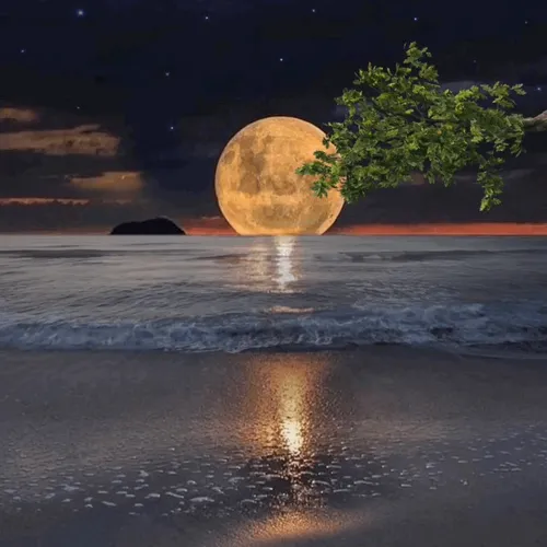 27773729504470941925081383766131398068602907755068102339940005611404986941441