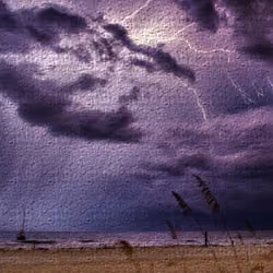 Artistic Nature Pictures #020