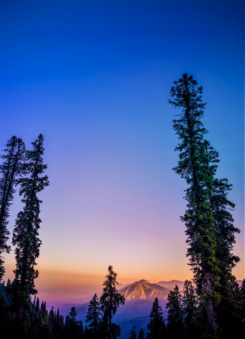 Item #106096322599603620341222276342369033024048943291878962669270680784027139440641 Media