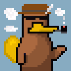 Platy Punk #43