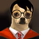 14979902399443104664204166341598272567313800802694280279568744185261549682689