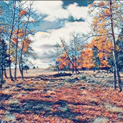 Aspens