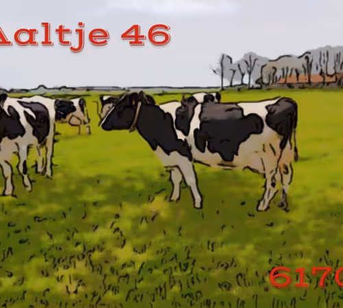 106168068867162485094593885732241547229015412580842941571810197543945343336449