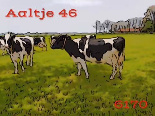 Item #106168068867162485094593885732241547229015412580842941571810197543945343336449 Media