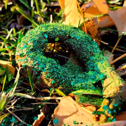 Leprechaun Shit